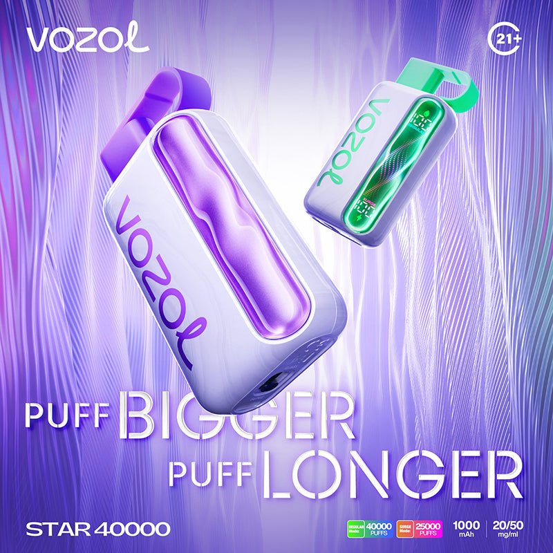 EU Warehouse VOZOL star 40000 Puffs 20ml Disposable Vape Wholesale - GeliVape Wholesale