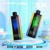 Vapen Skywalk 30000 Puffs Disposable Vape Wholesale | Gelivape 9 VAPEN SKYWALK 30000 Puffs jetables Vape en gros - Achat en gros | GeliVape - GeliVape en gros
