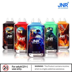 JNR Falcon 16000 Puffs Desechables Vape al por mayor - Almacén en la UE | GeliVape - GeliVape al por mayor