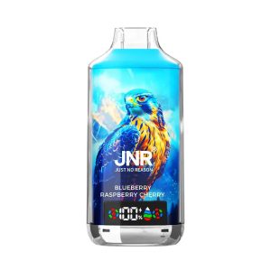 JNR Falcon X 18000 Puffs — одноразовые вейпы с сопротивлением ниже 1 Ом, модели Vape — оптовая продажа | GeliVape — оптовая продажа GeliVape