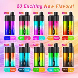 JNR WindWhip 2 IN 1 44,000 Puffs Disposable Vape Wholesale - EU Warehouse | GeliVape - GeliVape Wholesale