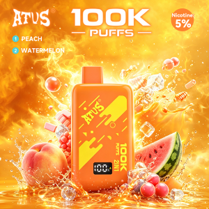 Atvs 2IN1 100K Puffs Disposable Vape Wholesale | GeliVapeの別の見方