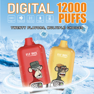 Okso Digital 12000 Puffs 使い捨て Vape 卸売り - EU倉庫 | GeliVape