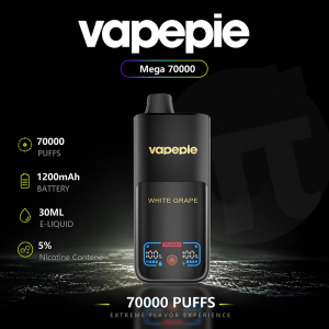 Vapepie MEGA 70000 Puffs 使い捨て Vape 卸売 - EU倉庫 | GeliVape