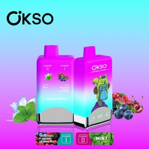Okso Double Flavors 60000 Puffs Disposable Vape Wholesale-EU Warehouse | GeliVapeの別の見方