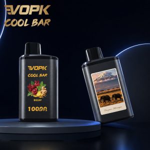 Alternative view of Vopk Cool BAR 10000 Puffs Disposable Vape Wholesale | GeliVape
